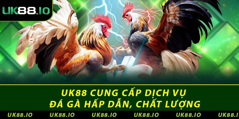 UK88 25 UK88 cung cấp dịch vụ đá gà hấp dẫn, chất lượng
